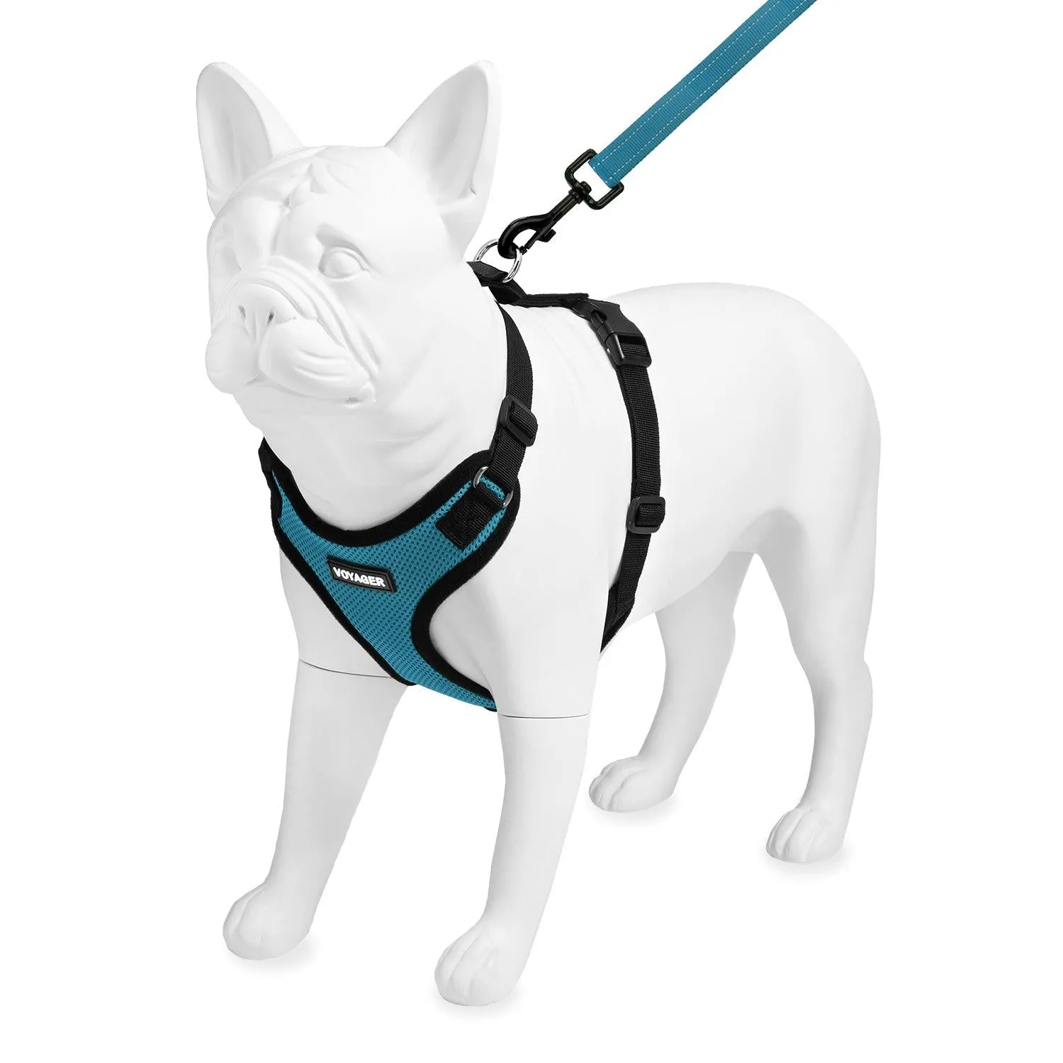 Step-In Lock Harness & Leash Set: Enhanced Pet Control & Safety