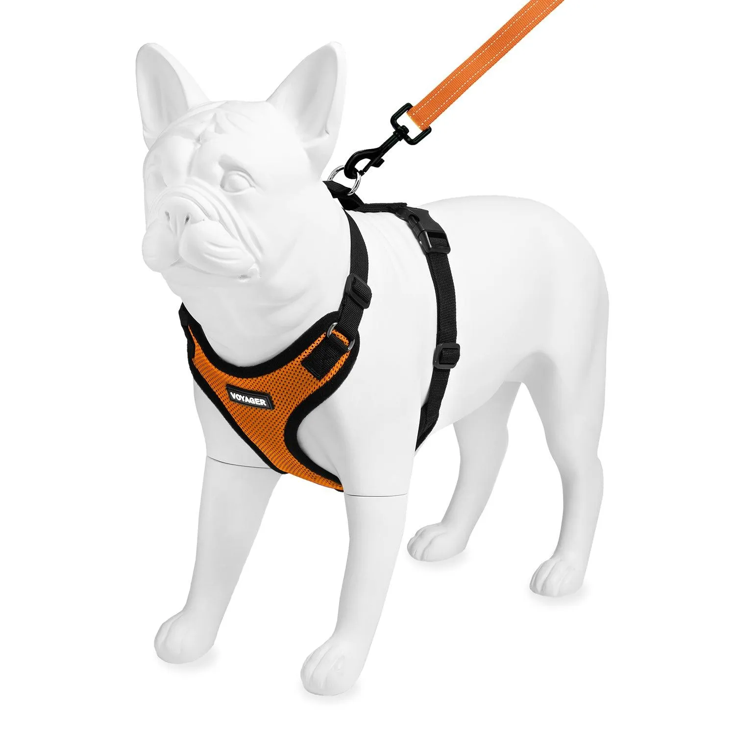 Step-In Lock Harness & Leash Set: Enhanced Pet Control & Safety