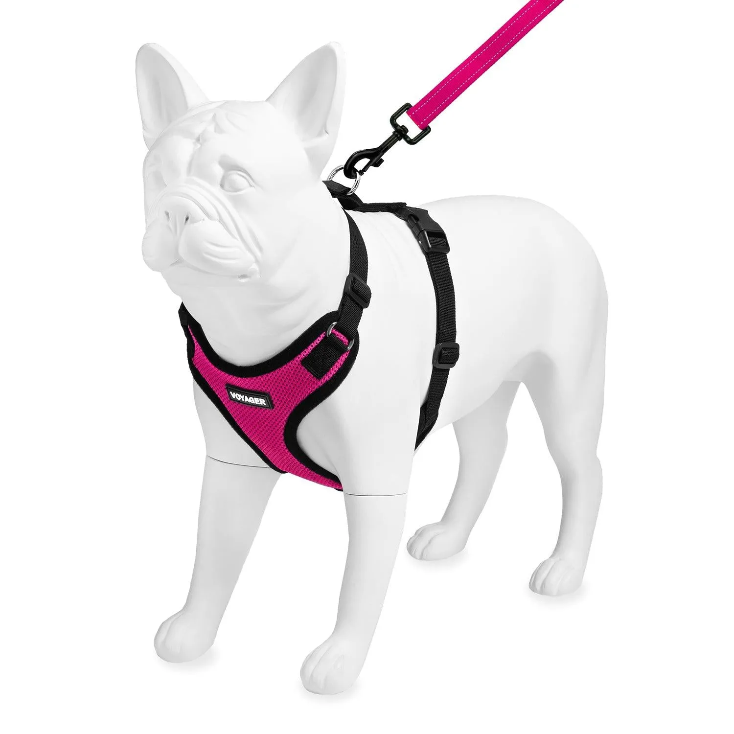 Step-In Lock Harness & Leash Set: Enhanced Pet Control & Safety