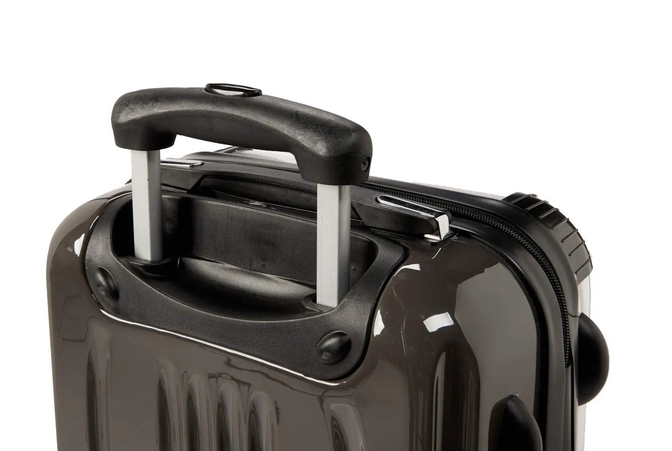 Tiger Suitcase / Luggage