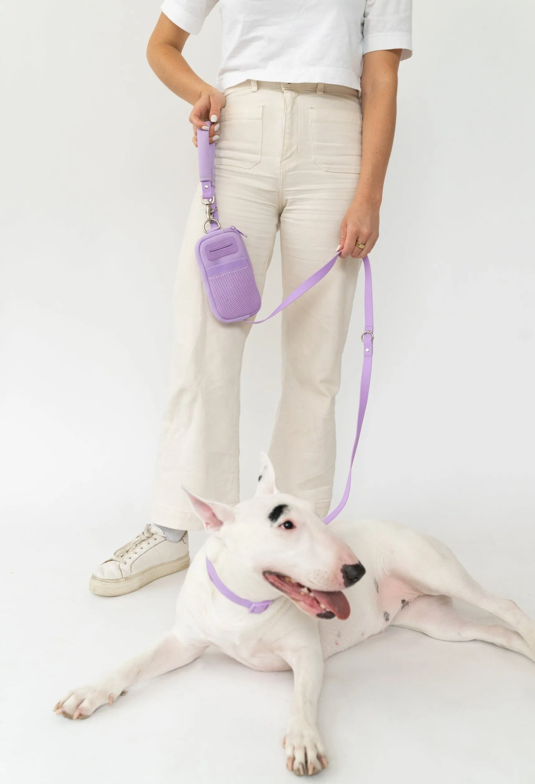 Walk Bag   Dog Leash