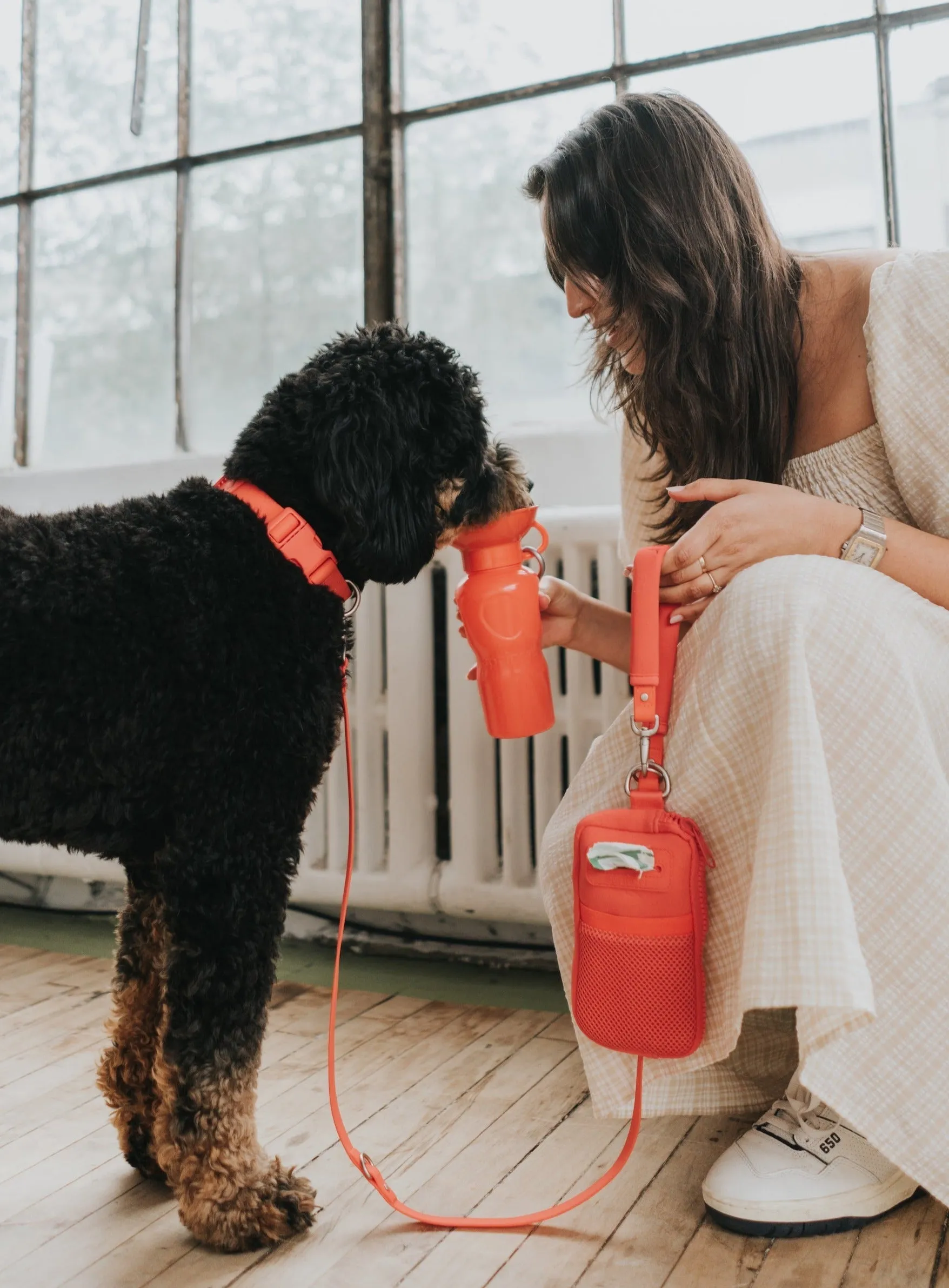Walk Bag   Dog Leash