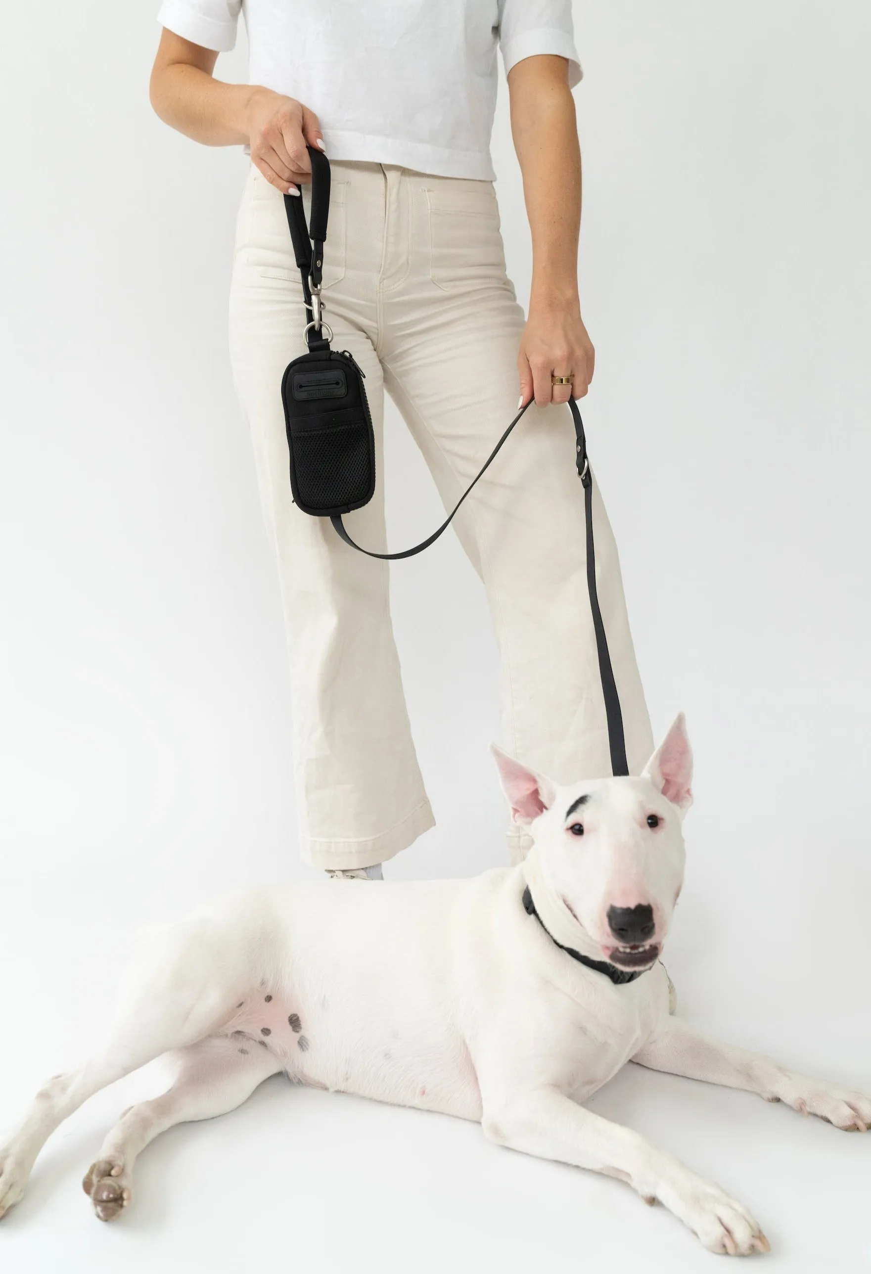 Walk Bag   Dog Leash