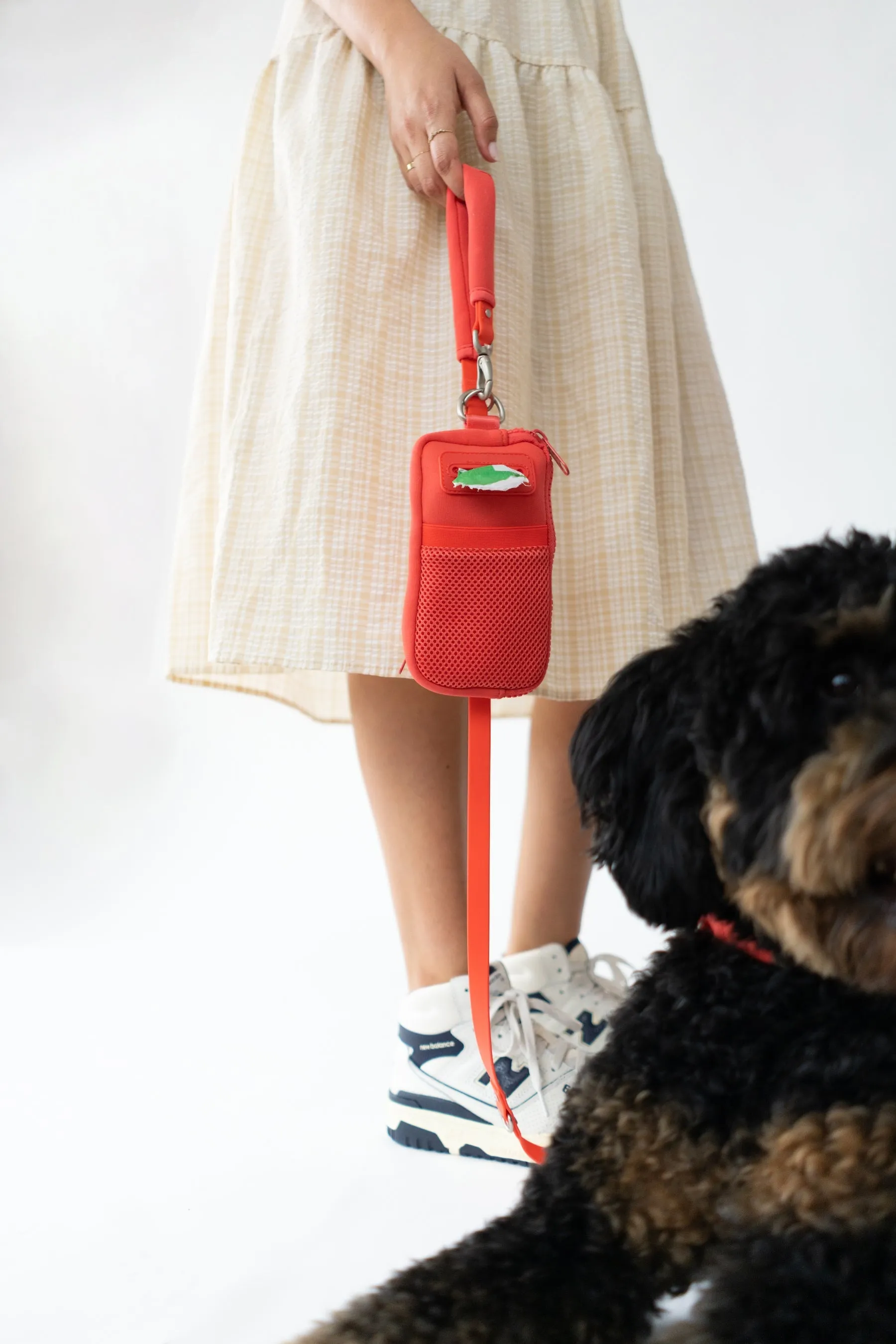 Walk Bag   Dog Leash