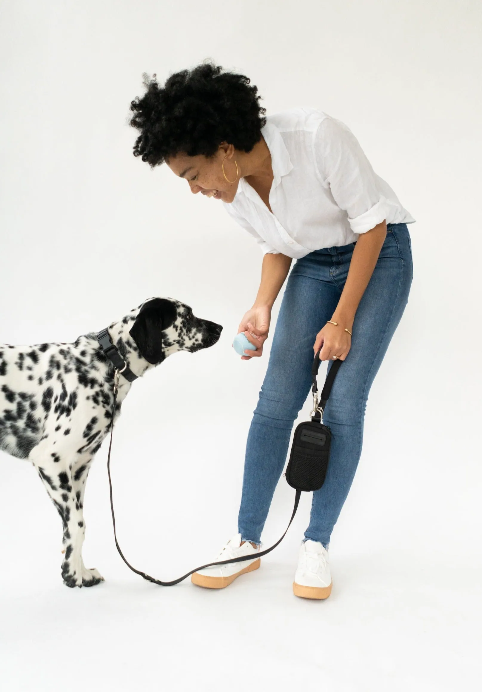 Walk Bag   Dog Leash