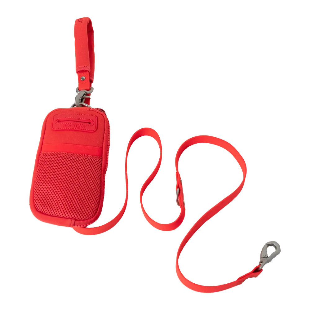 Walk Bag   Dog Leash