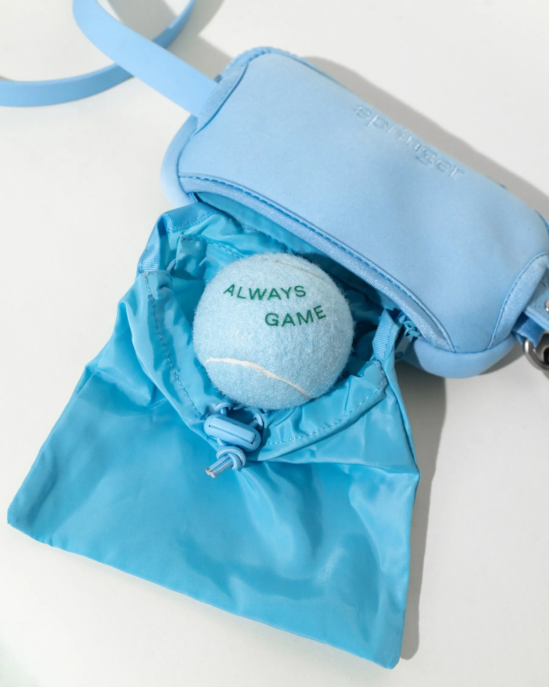 Walk Bag   Dog Leash