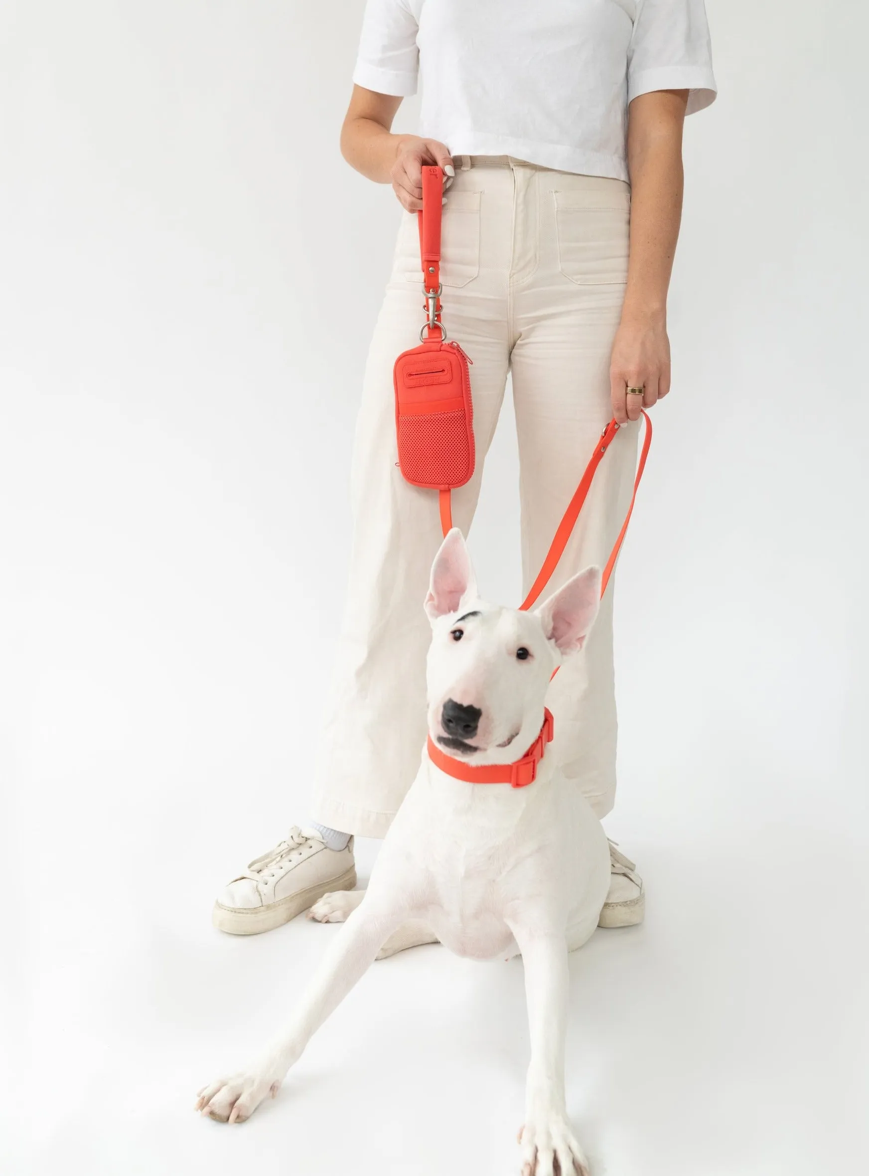 Walk Bag   Dog Leash