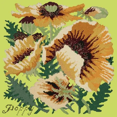 Yellow Poppy