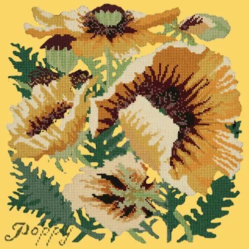 Yellow Poppy